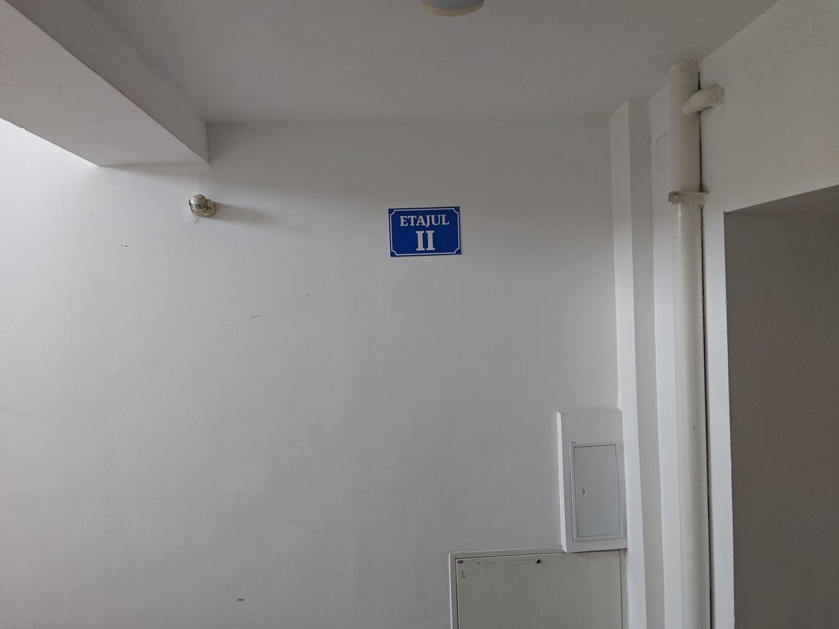 Miniatură 4