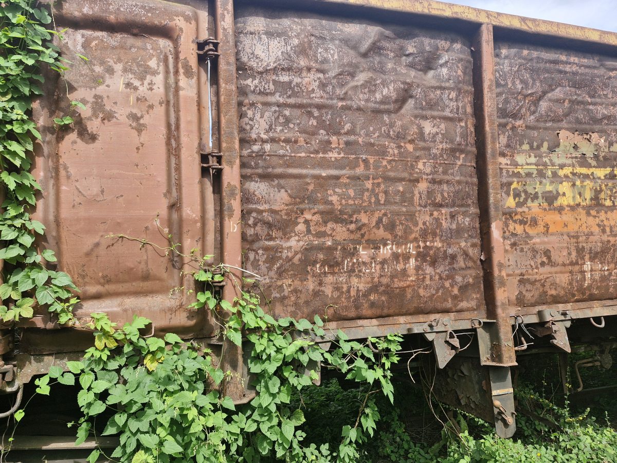 Miniatură 3