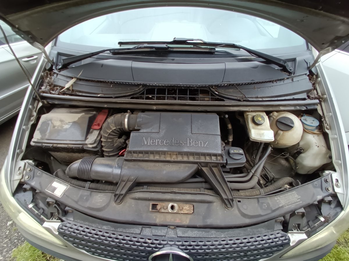 Miniatură 7