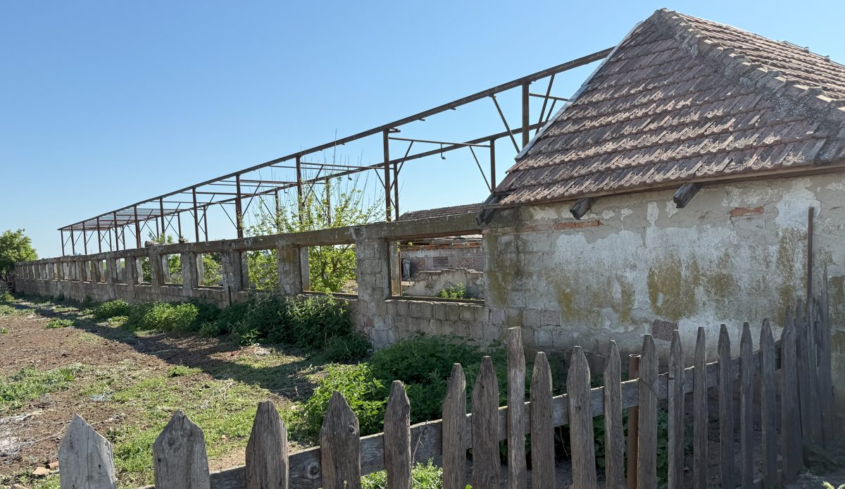 Miniatură 2