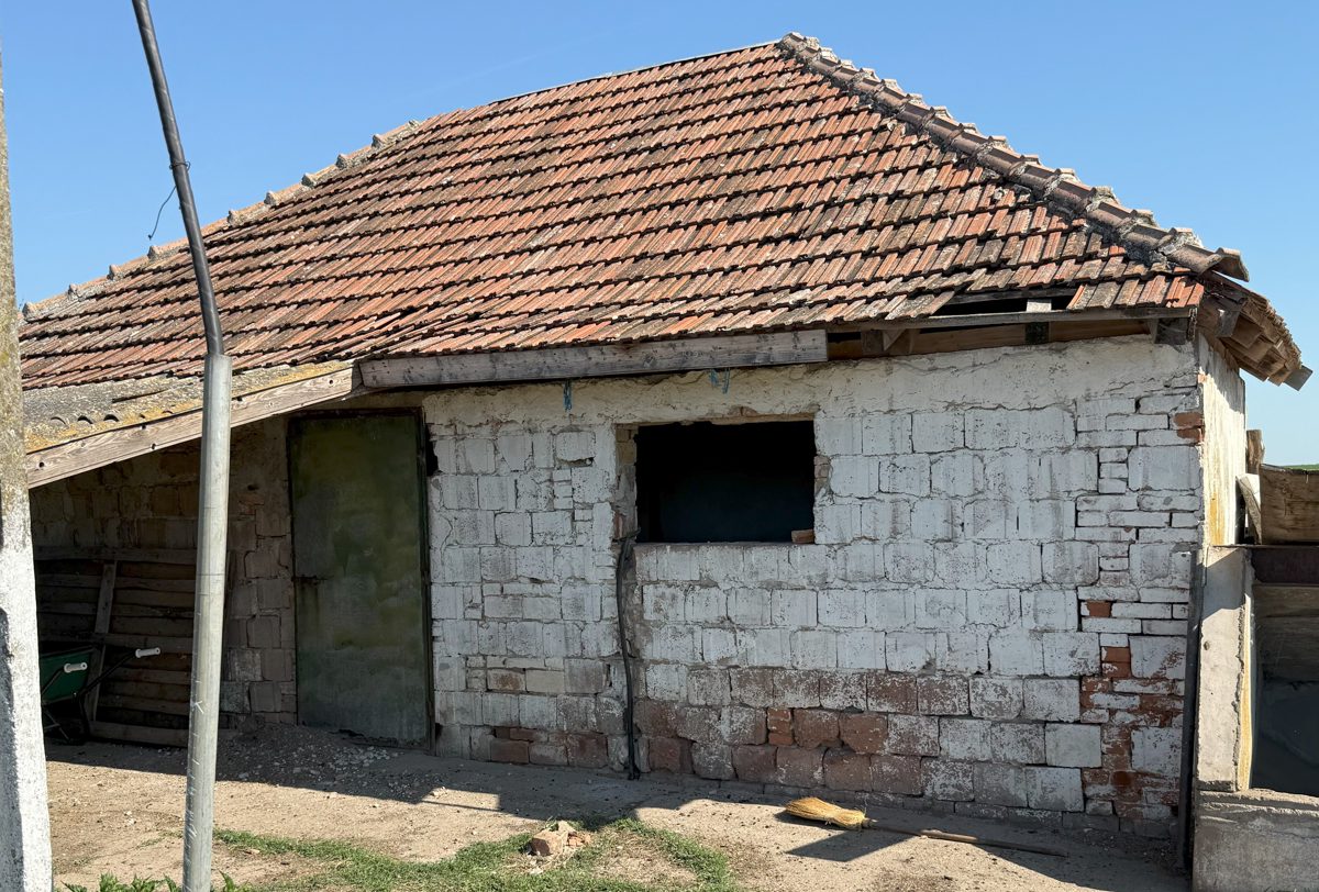 Miniatură 3