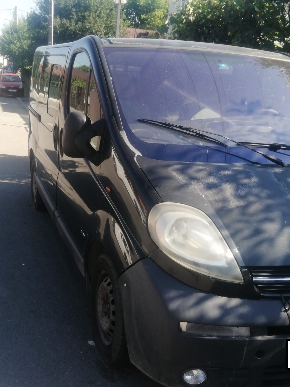 Miniatură 4
