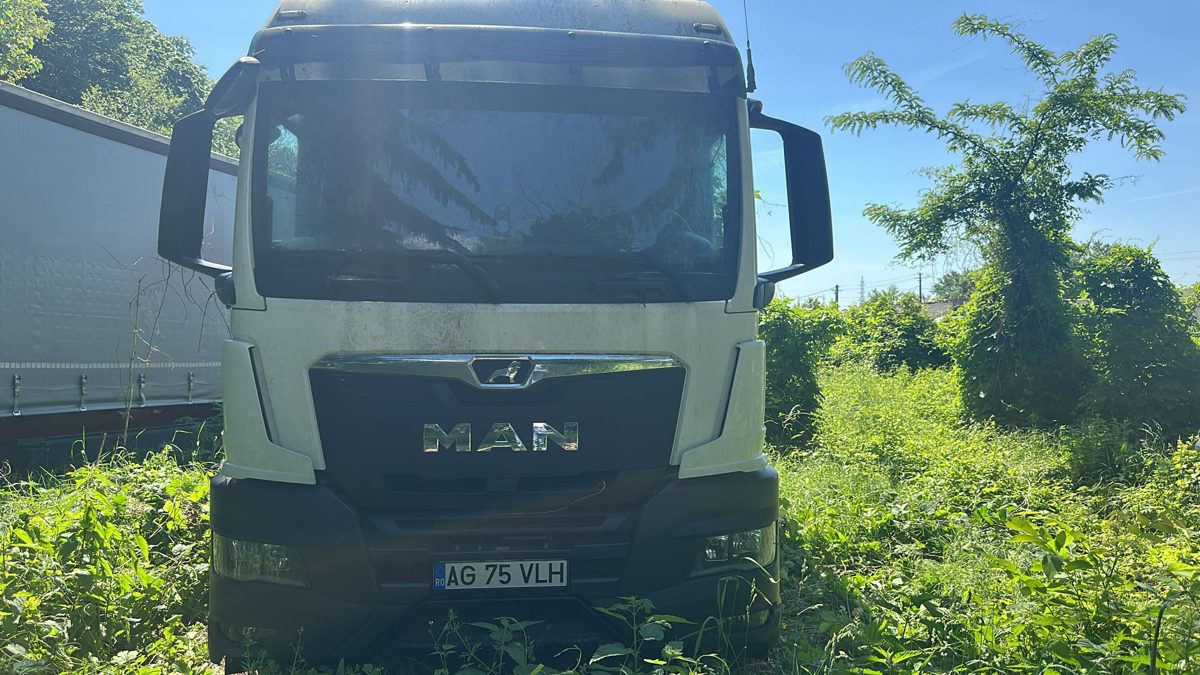 Autocamion transport lemn marca MAN TGS BA 17 1