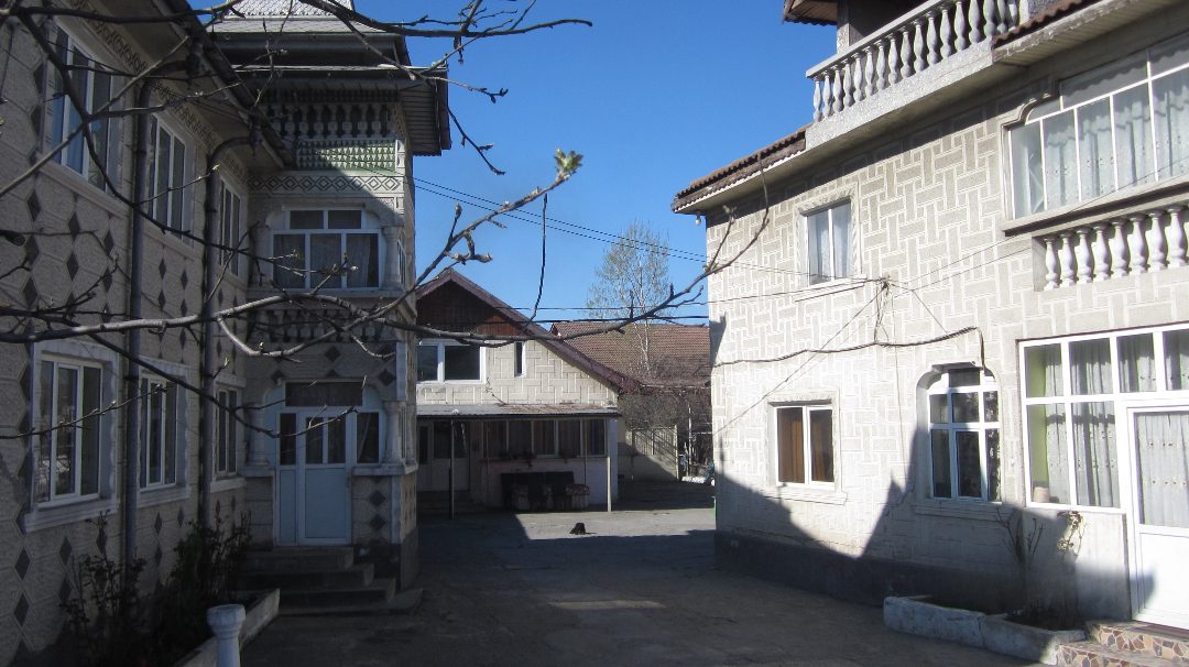Miniatură 2