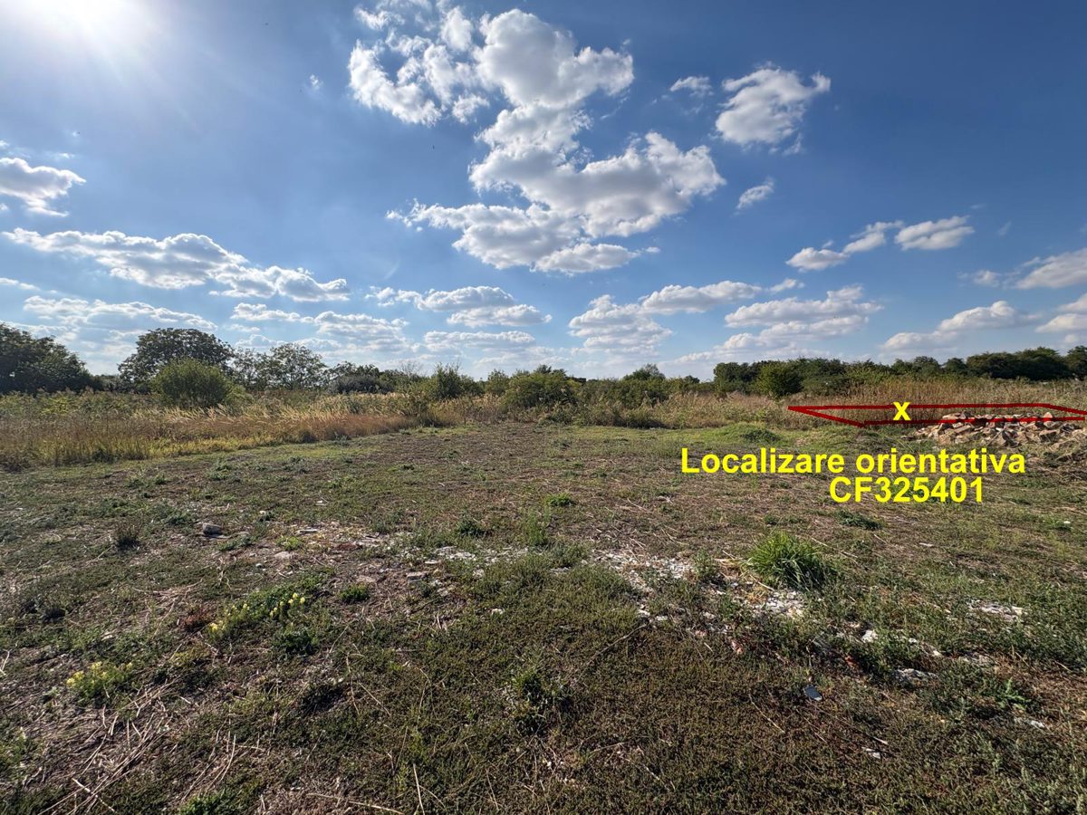 Miniatură 2