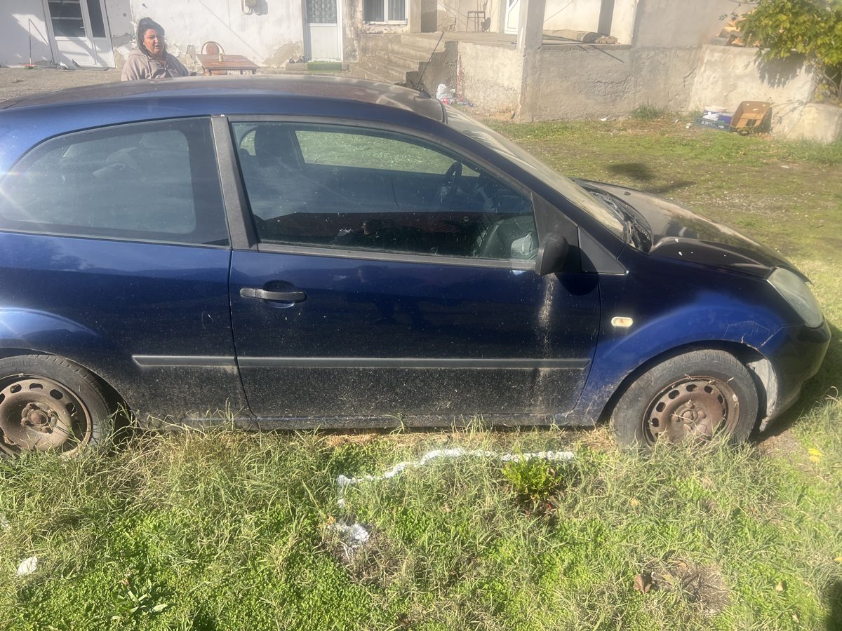 Miniatură 4