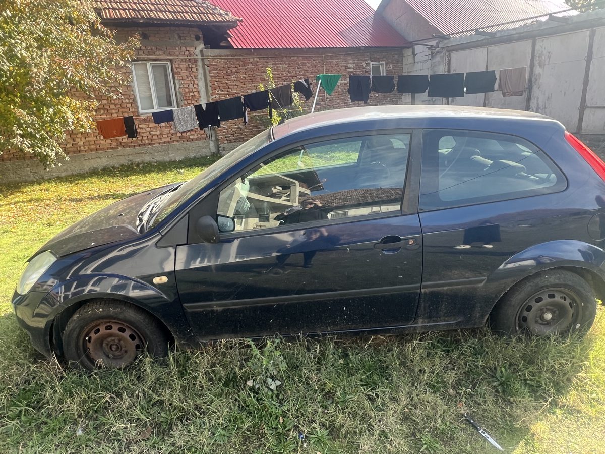 Miniatură 6