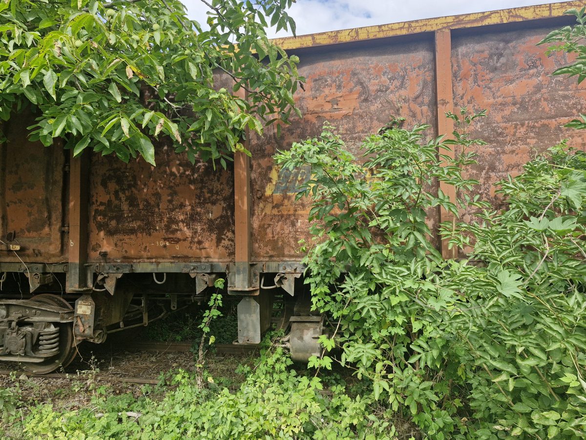 Miniatură 3