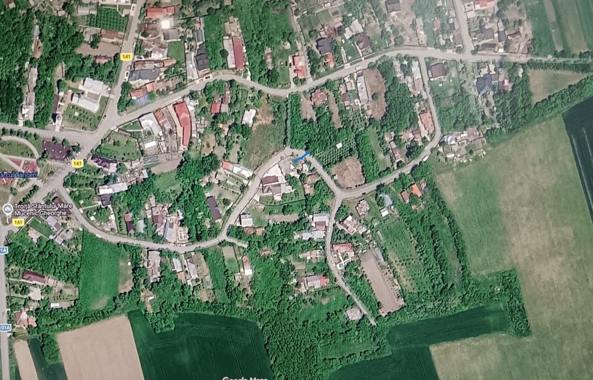 Miniatură 6