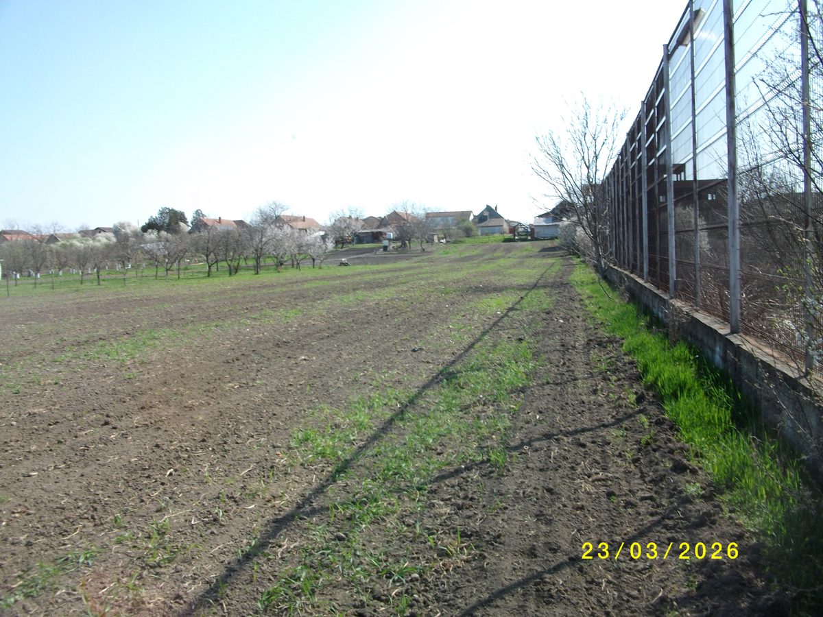 Teren arabil - intravilan in suprafata de 2002 MP 1