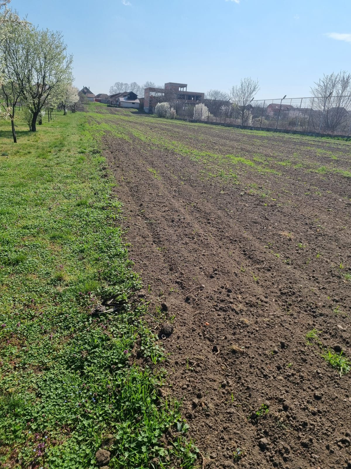 Miniatură 3
