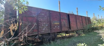 Vagon 215315015499 - Vagon marfa GBS (1983)