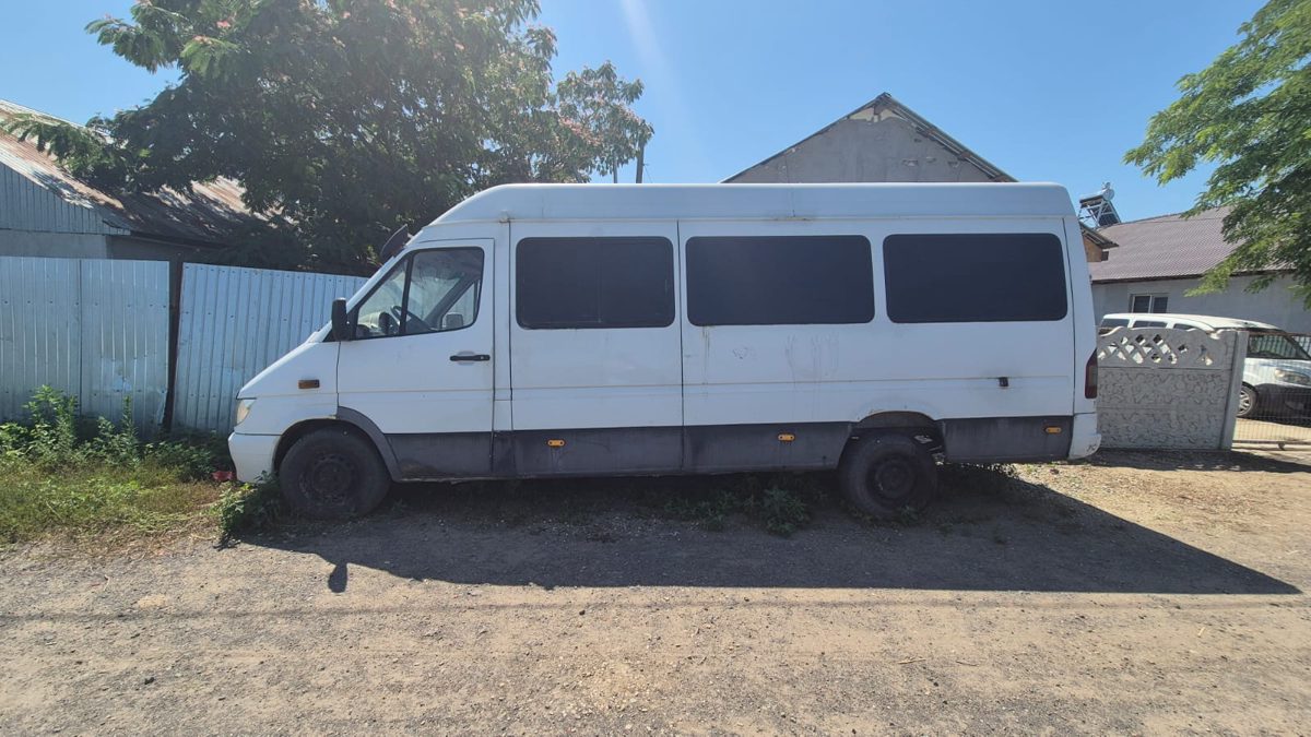 Miniatură 2