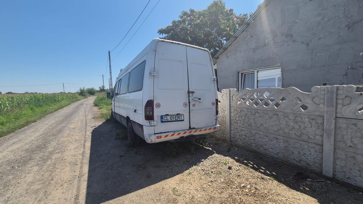 Miniatură 3