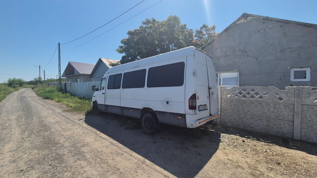 Miniatură 5