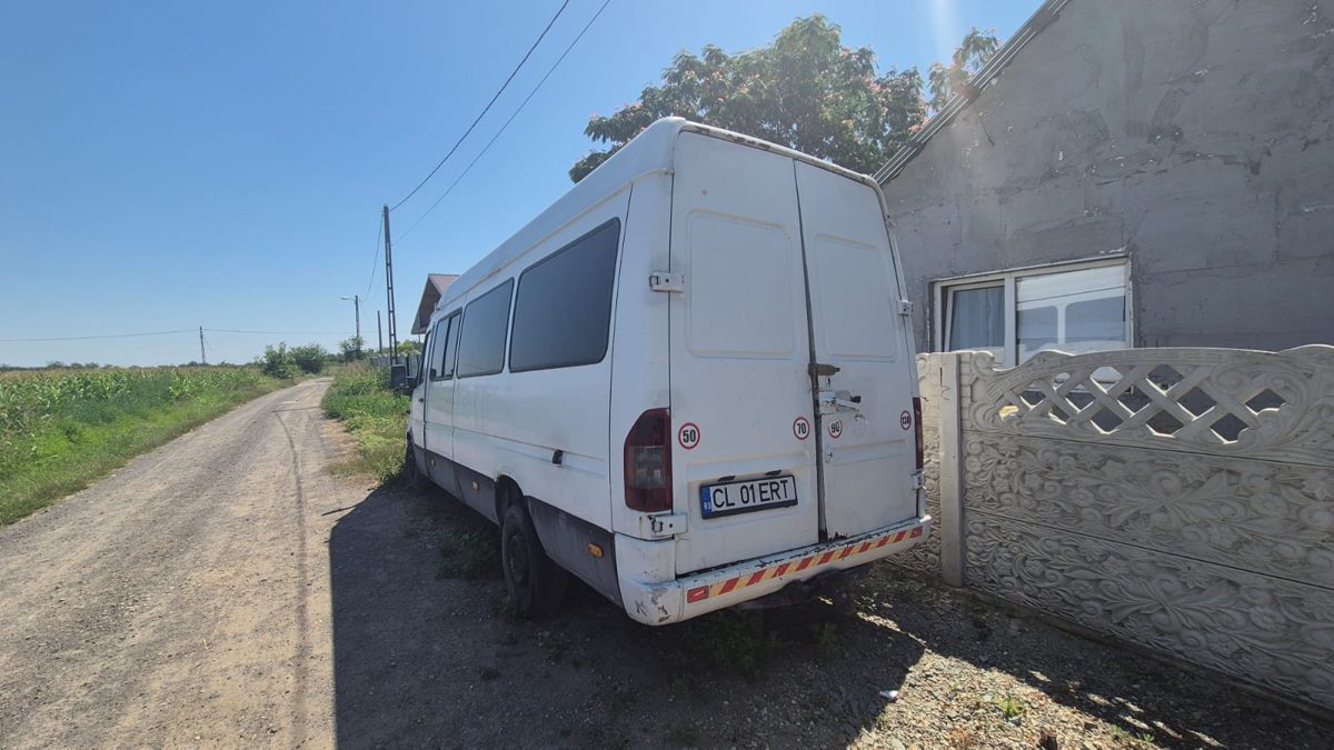 Miniatură 6