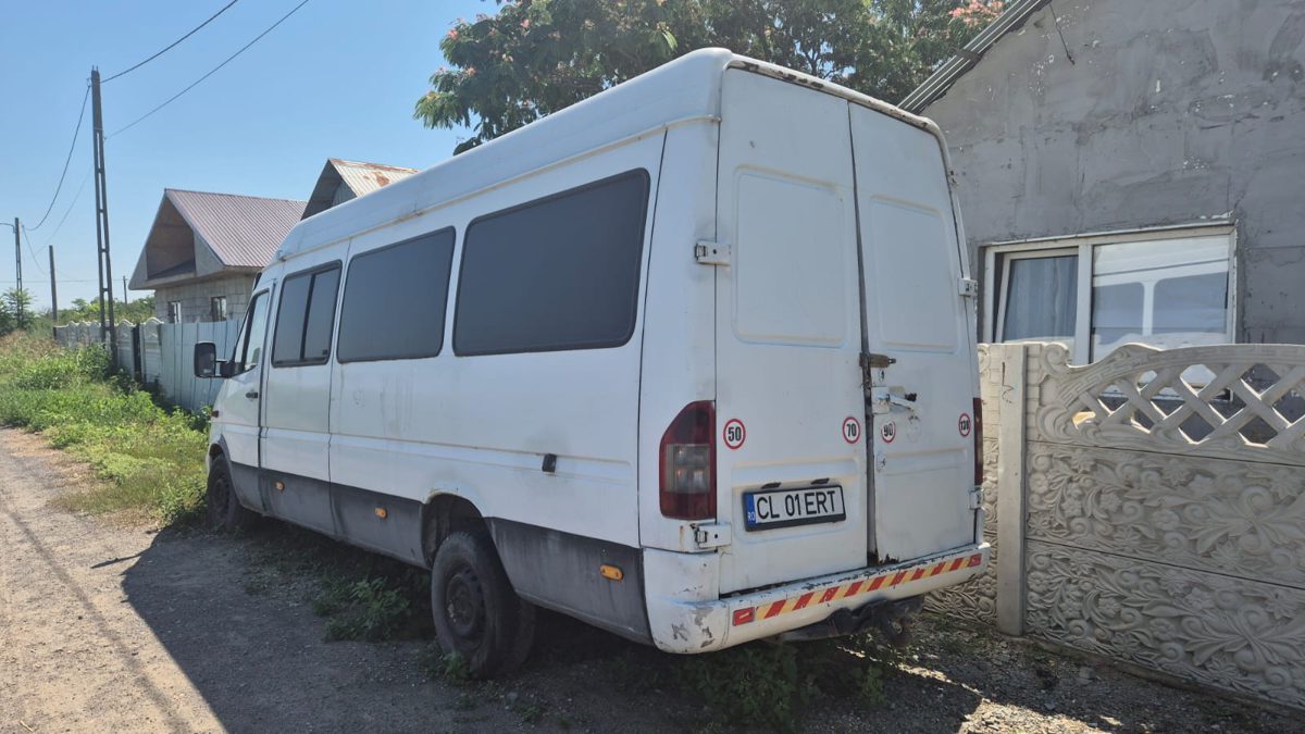Miniatură 7