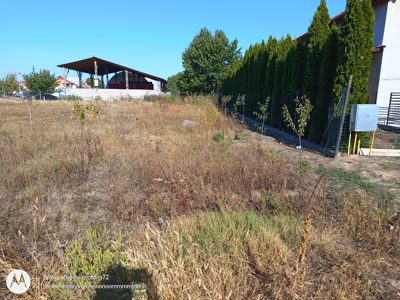 Teren intravilan construibil - in suprafata de 1074 MP, inscris in CF 304513 Curtici, jud. Arad