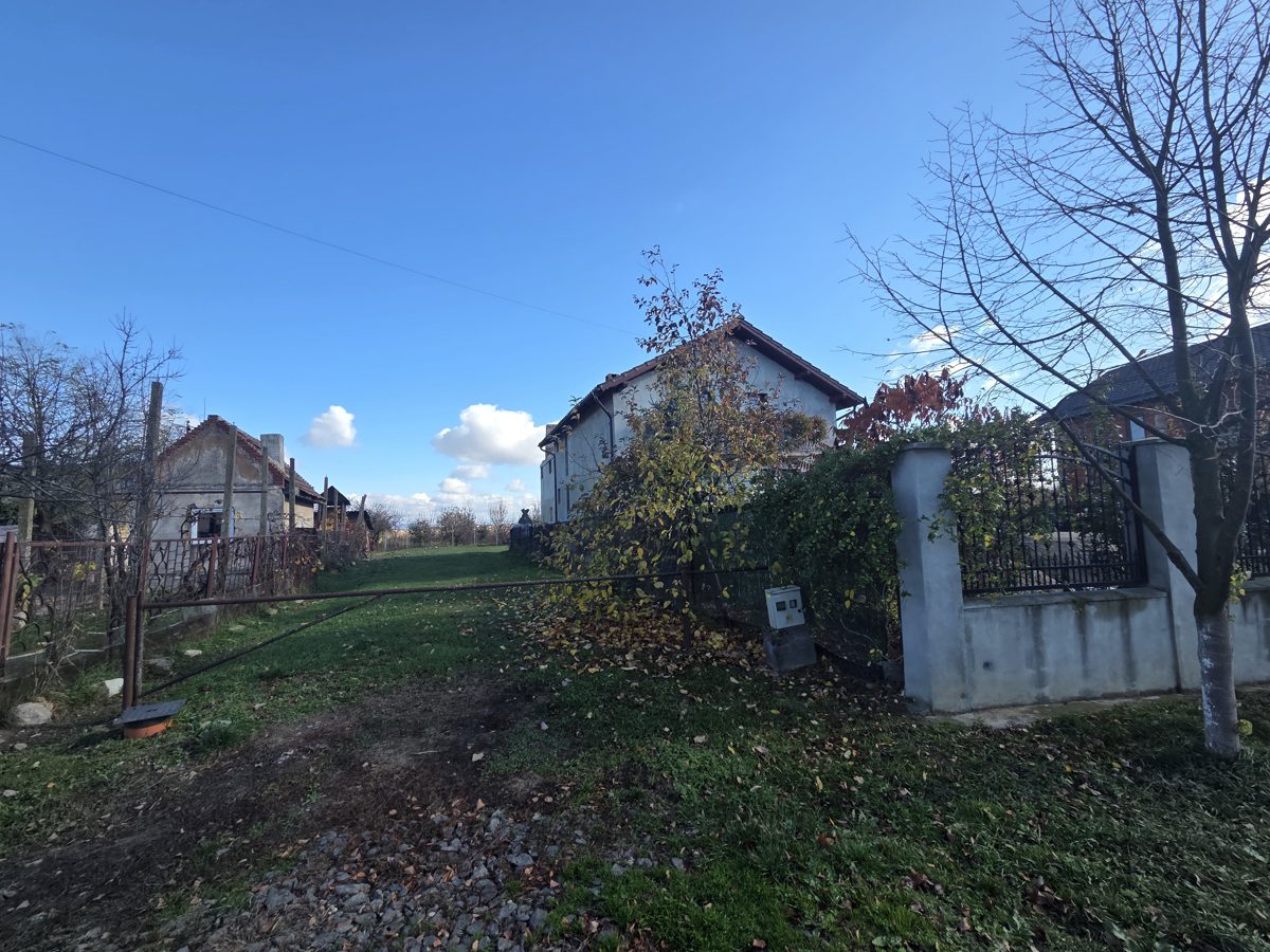 Miniatură 2