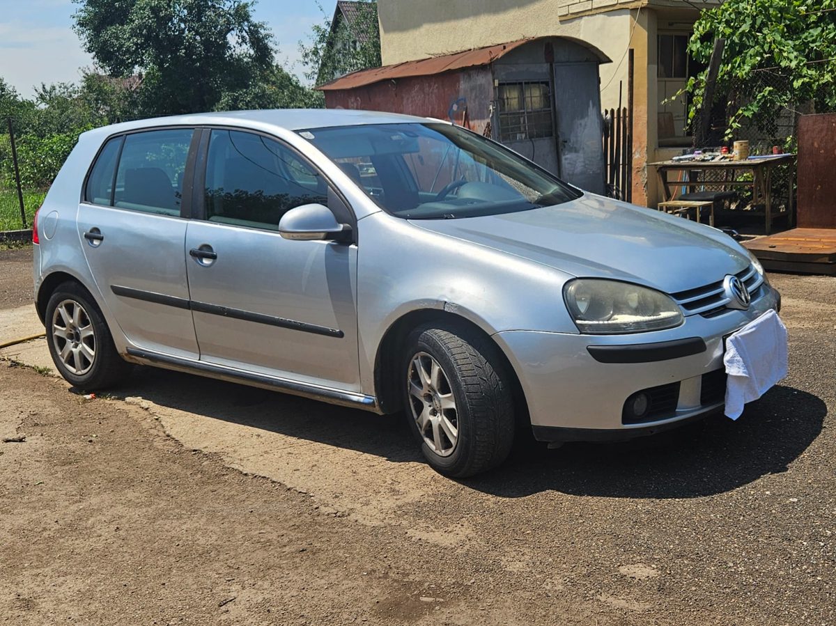 Miniatură 3