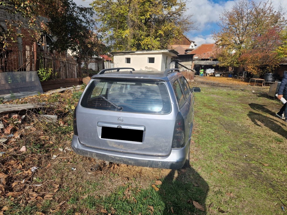 Miniatură 3