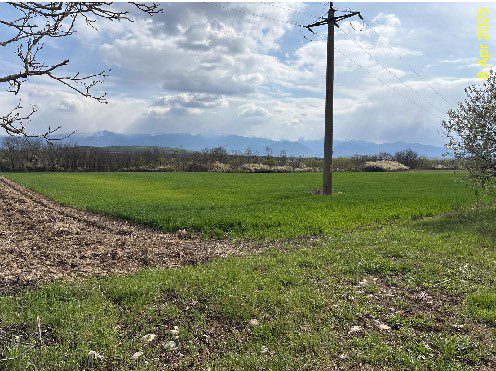 Teren agricol - in suprafata de 3.500 mp 1