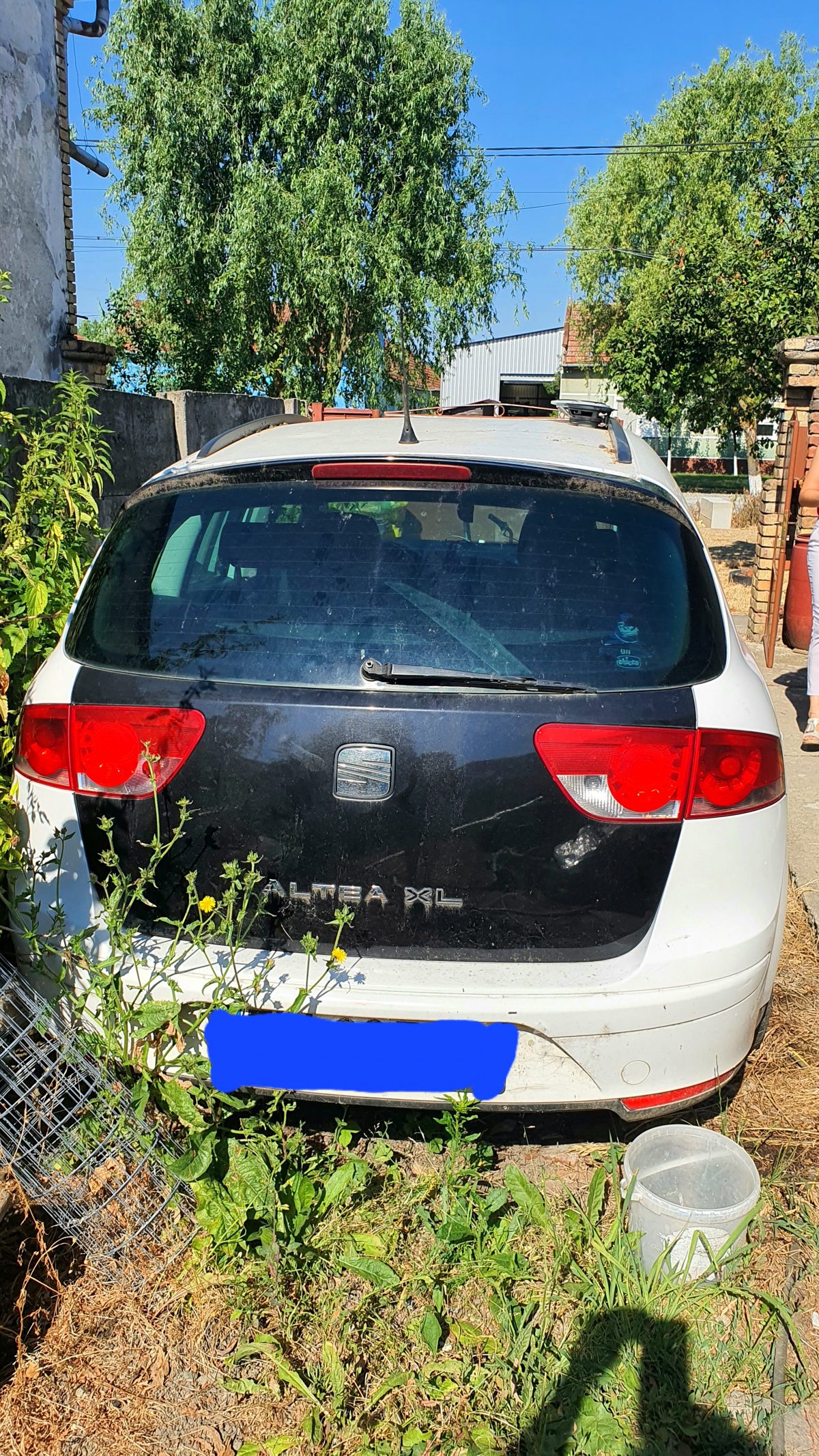 Miniatură 3