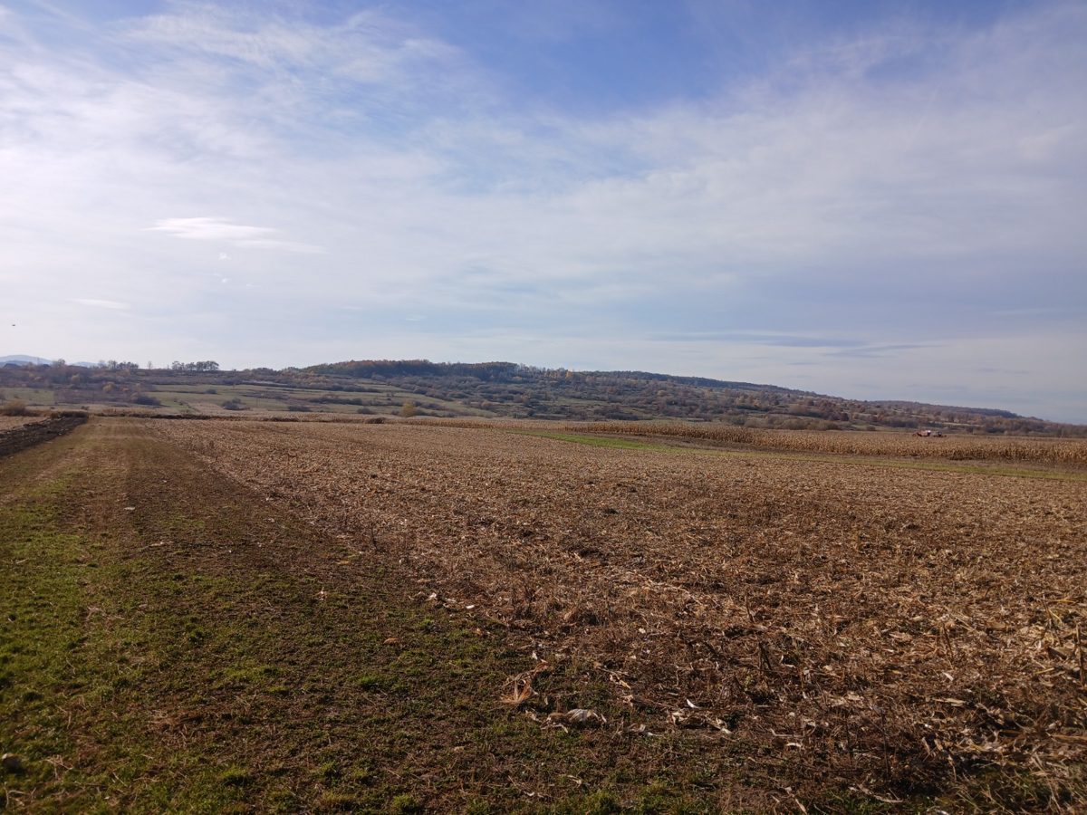Teren agricol - extravilan in suprafata de 1000 MP 1