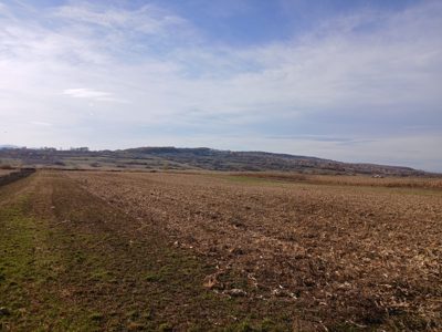 Teren agricol - extravilan in suprafata de 1000 MP