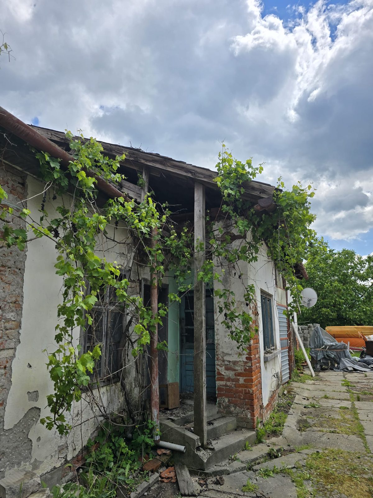 Miniatură 4
