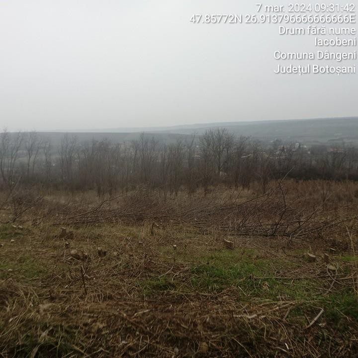 Miniatură 2