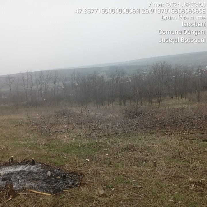 Miniatură 11