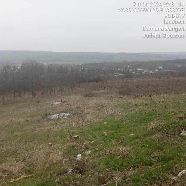 Miniatură 4