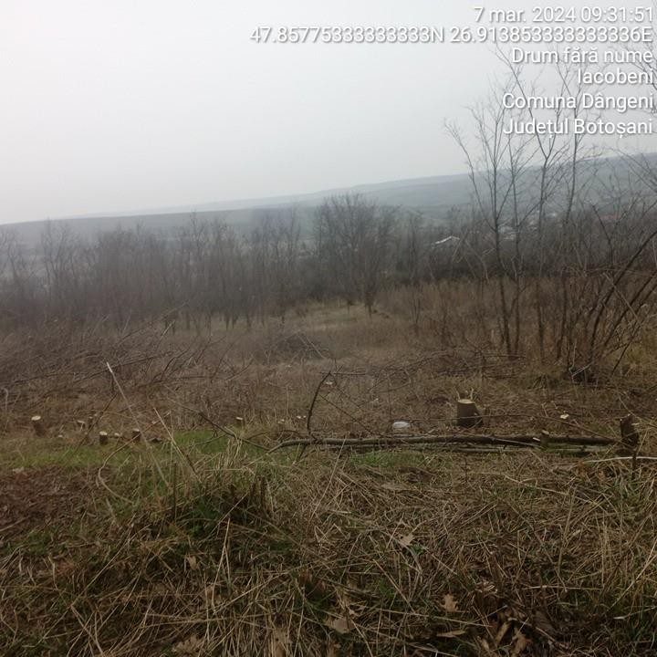 Miniatură 6