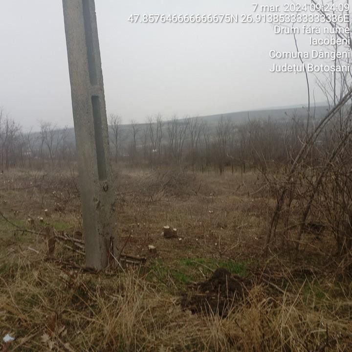 Miniatură 7