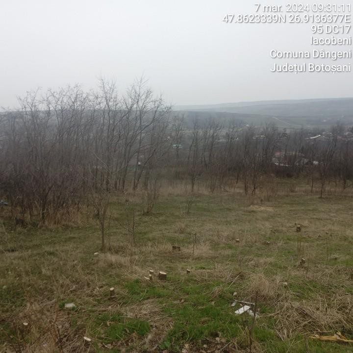 Miniatură 8