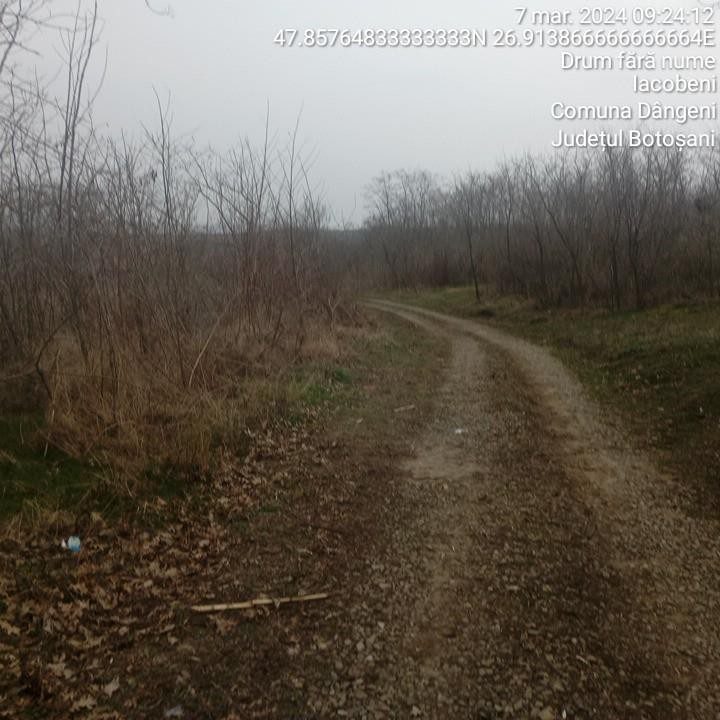 Miniatură 10