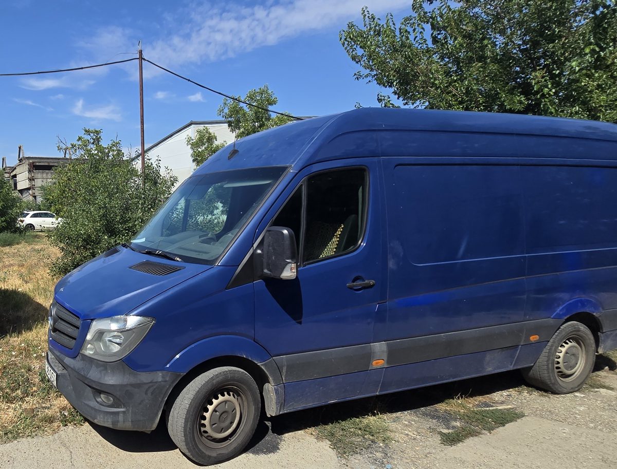 Miniatură 4