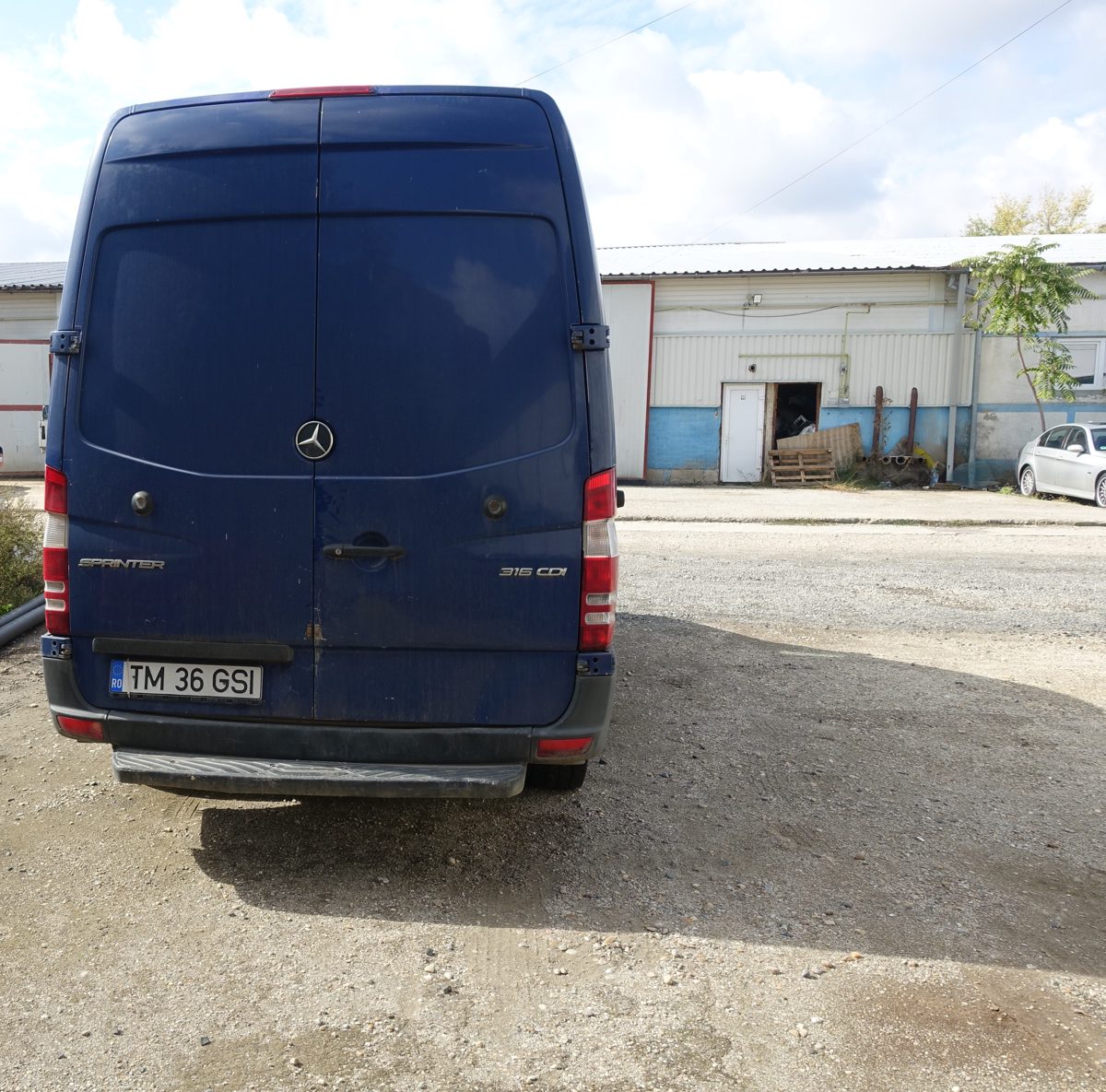 Miniatură 7