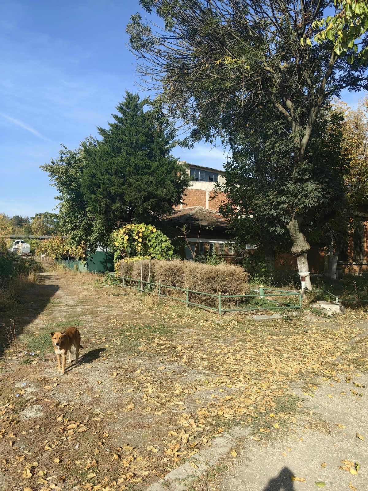 Miniatură 16