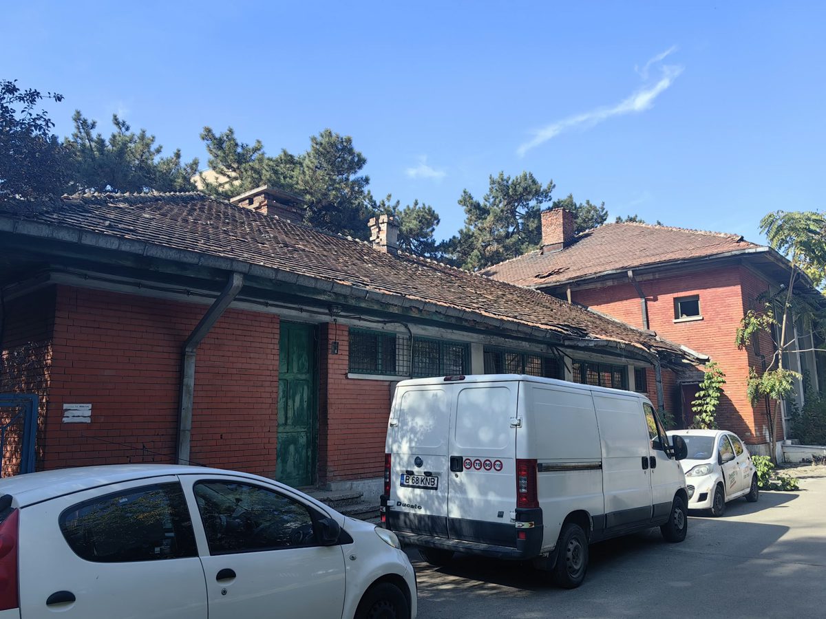 Miniatură 4