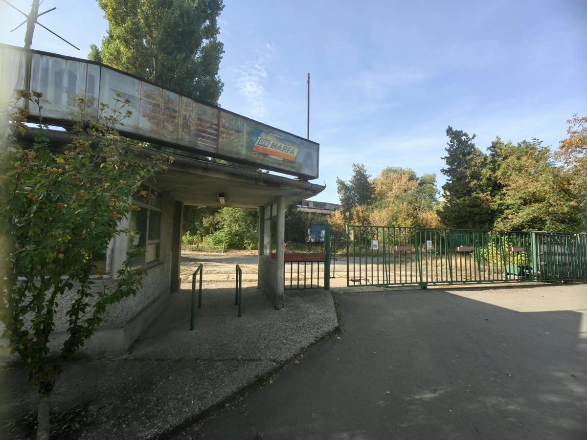 Miniatură 8