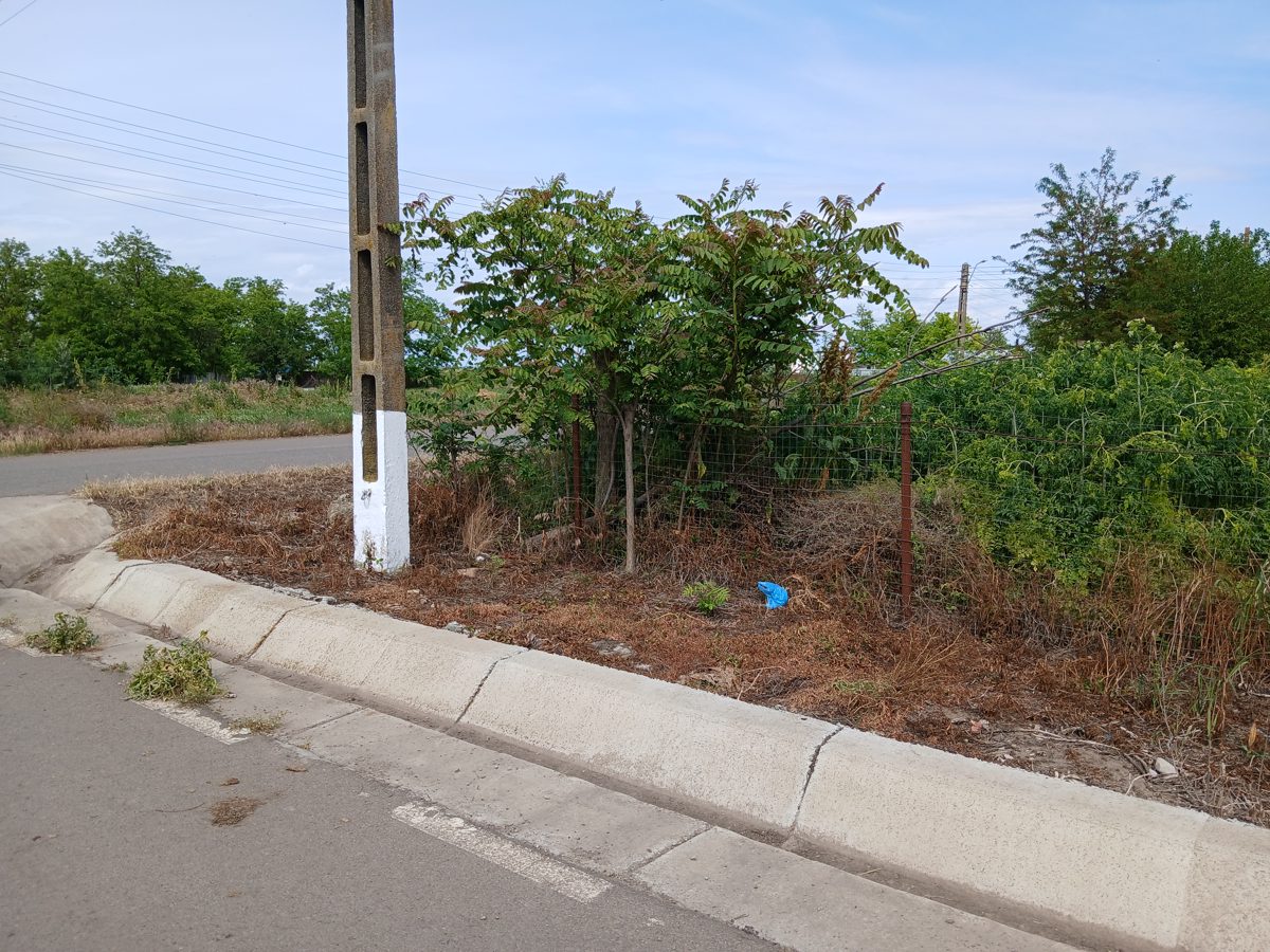teren intravilan situat în sat Lişcoteanca, str. Principală, com. Bordei Verde, jud. Brăila, 1
