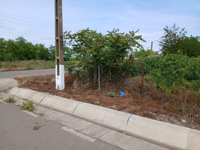 teren intravilan situat în sat Lişcoteanca, str. Principală, com. Bordei Verde, jud. Brăila,