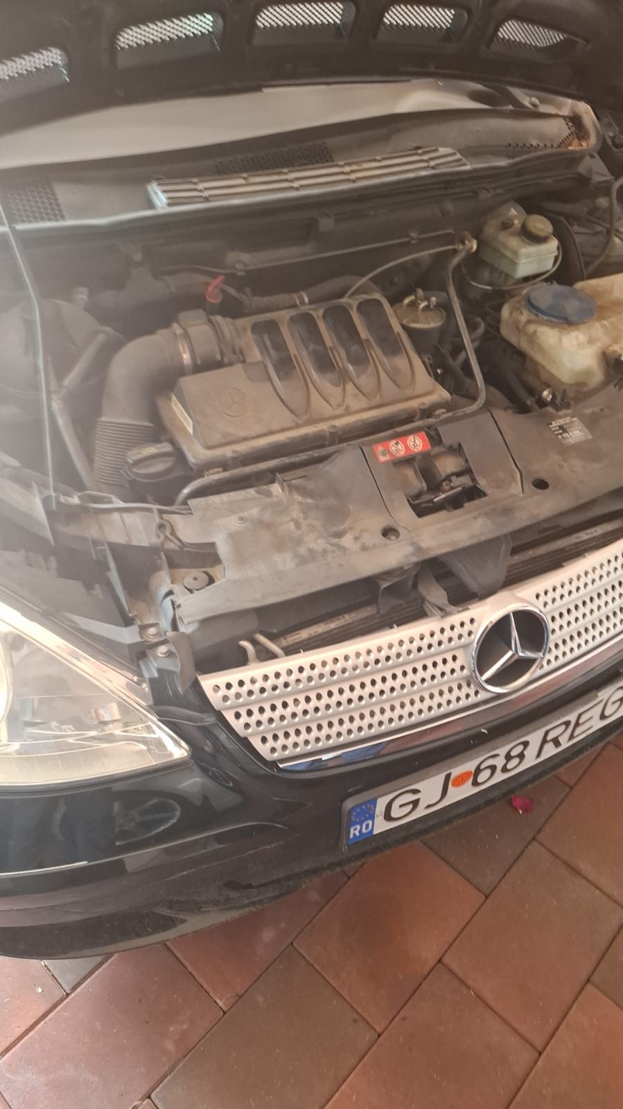Miniatură 12