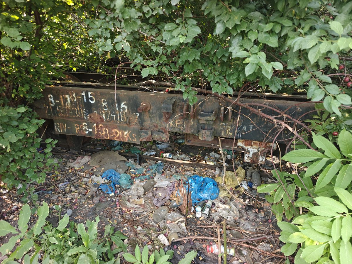Miniatură 2