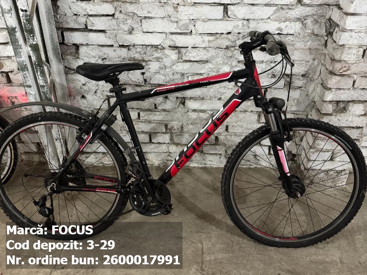 Bicicleta - Focus 1