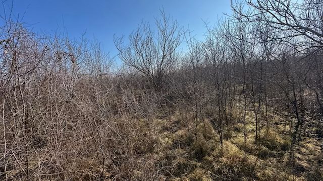 Teren extravilan (arabil) - in suprafata de 5900 MP situat in Timisoara 1