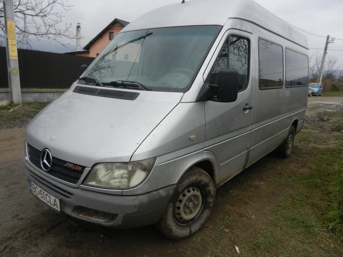 Miniatură 3