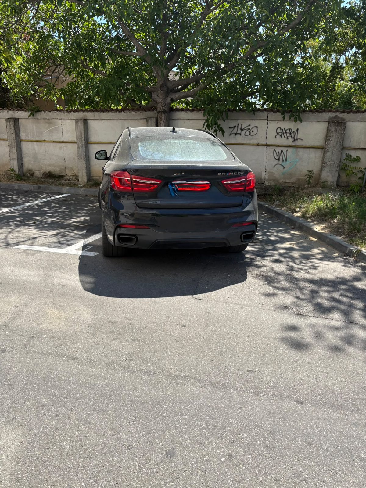 Miniatură 6